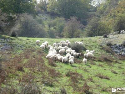 Valle Sakana-Sierras Navarra; ocentejo ruta imperial valle de aspe semana santa portugal activate se